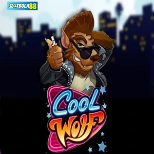 cool wolf