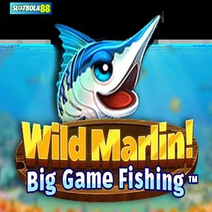 wild marlin big game fishing