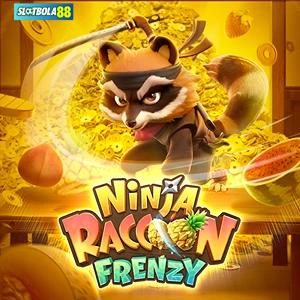 Ninja Raccoon Frenzy