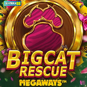 bigcatrescuemegaways